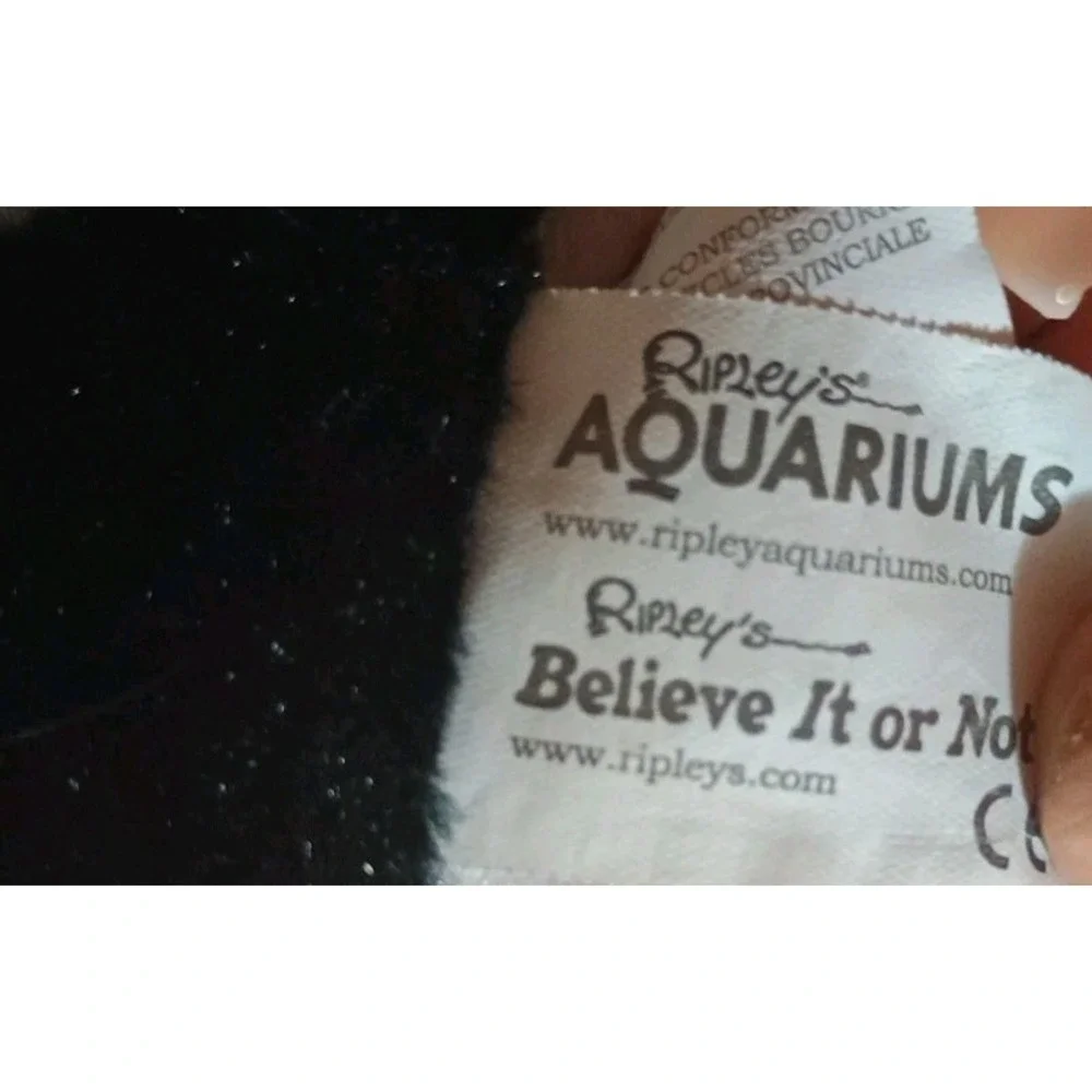 Ripleys Aquarium ripleys aquarium